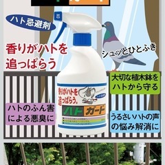 ハトガードの画像