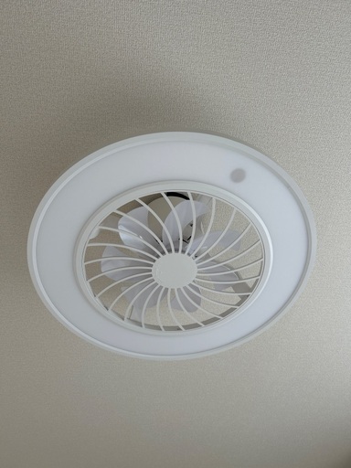 扇風機付き照明です。