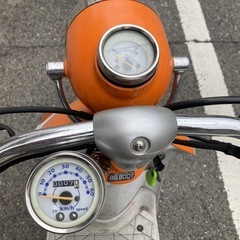 スズキレッツの画像