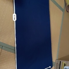 ミニ　トゥルースリーパー