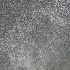 ゾウリムシ 500ml 針子の餌の画像