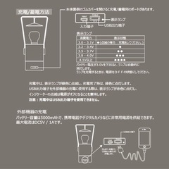未使用新品　peace park LETHER BAMBOO DESK LAMPの画像
