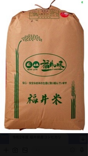 令和7年度　福井県産コシヒカリ30kg