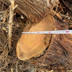 杉 原木 玉切り 薪用 軽トラ1杯 近隣配達込みの画像