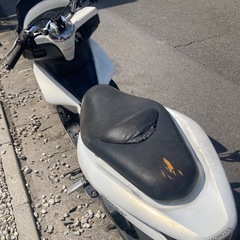 pcx１２５　　ＪＦ２８不動の画像