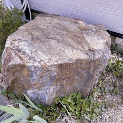 庭石の画像