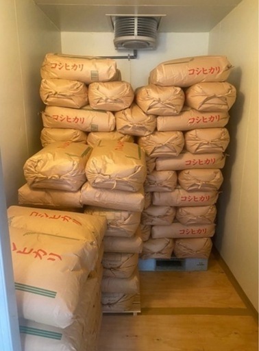 令和7年度　新米　コシヒカリ　籾　25kg 常陸大宮産