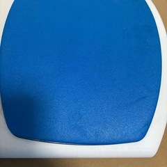 バイオプトロン　BIOPTRON PRO1 プロ1 美顔器の画像