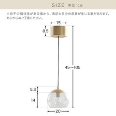 クラッペン / ペンダントライト (1灯)電球付きの画像