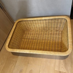 カゴ
の画像