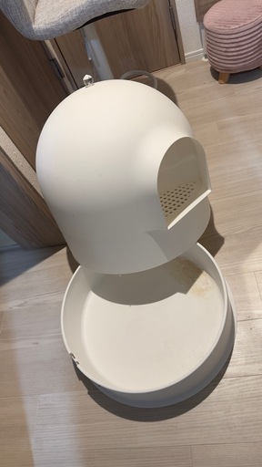 pidan 猫トイレ