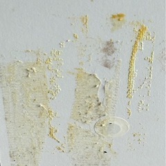 【決まりました】白   カラーボックスの画像