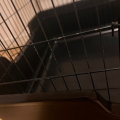 サンコー ワイルドホーム フェレット 小動物飼育用ケージの画像