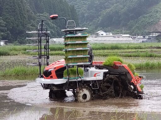 【 受渡し決定しました】【おかげさまで残り4袋】おいしいお米玄米30kg  ヒノヒカリ 令和7年産  取引場所 熊本インターチェンジ近く