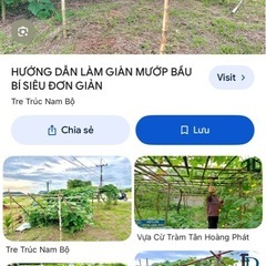 植物用の支柱を作るために竹を買いたい。の画像