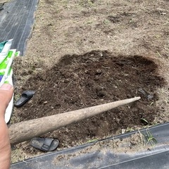 植物用の支柱を作るために竹を買いたい。の画像