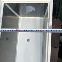 50センチ水槽の画像