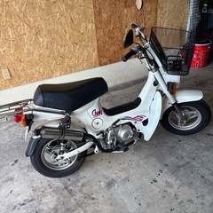 シャーリー50の画像