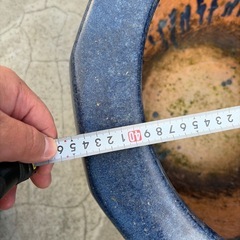 火鉢　　メダカ　金魚　水水槽　睡蓮鉢の画像