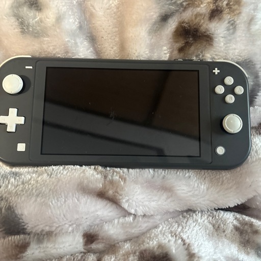 Switch  ジャンク