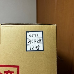 5月人形兜飾りの画像