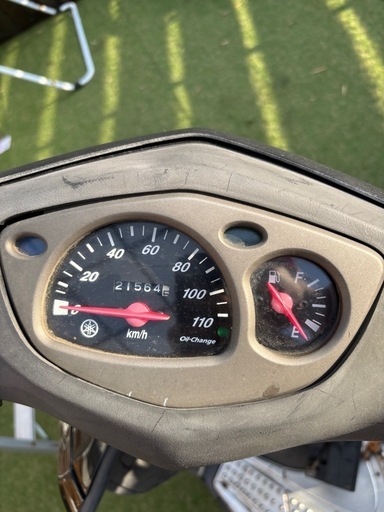 シグナス１型　不動