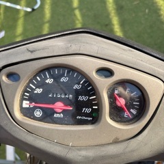 シグナス１型　不動の画像