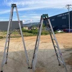 長谷川アルミ製伸縮脚立約3.5m、2.1mの画像