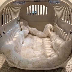 小型犬　小動物　猫　キャリー　クレート　キャリーバッグの画像