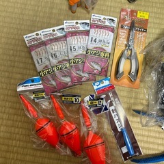釣り　サビキ色々セットの画像