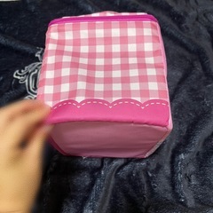 【未使用】カードキャスターさくら ポーチの画像