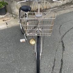 ブリヂストン　アルベルトの画像