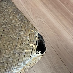 行李の画像