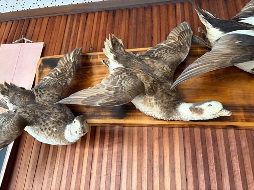 骨董品