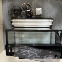 60センチ水槽②メダカ金魚等に(お取引中)の画像