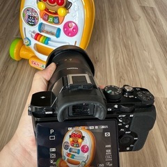 sony a7m1 + tamron 28-75の画像