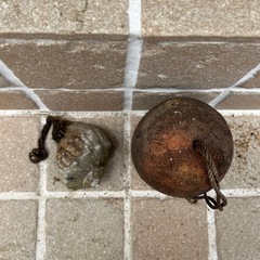 蛸壺　　巻貝　アクアリウム　メダカの家①
の画像