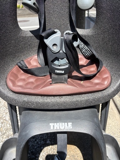 THULE 自転車用チャイルドシート