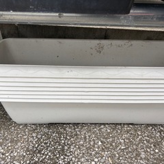 メダカ容器　nvボックス　nfボックス　発泡などの画像