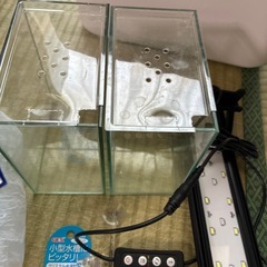 ベタ飼育セット色々の画像