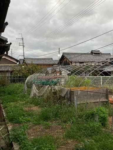 【お話中】ビニールハウス　農業ハウス