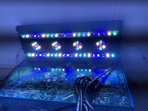 スペクトラ　SP200 サンゴ　海水魚　ペット