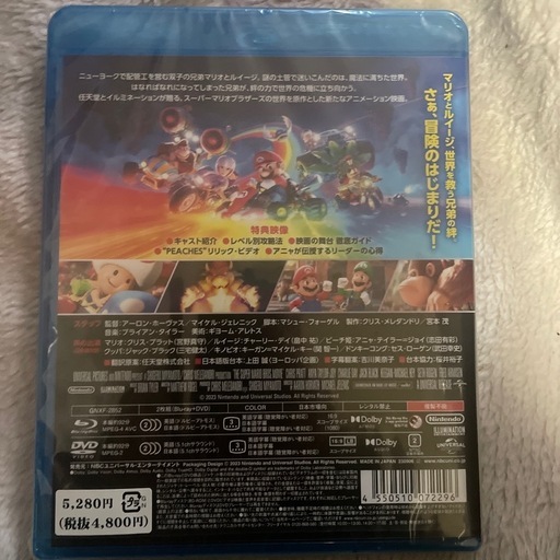 本/CD/DVD the super mario bros movie
