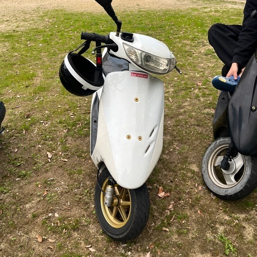 ホンダ　ライブディオzx  原付　50cc