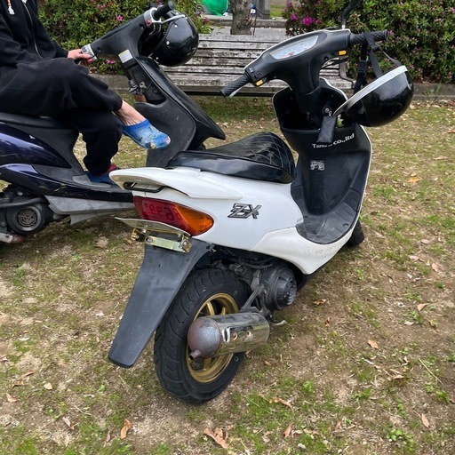 ホンダ　ライブディオzx  原付　50cc