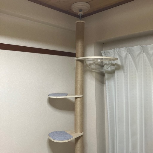 キャットタワー