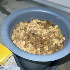 植木鉢　プランターの画像