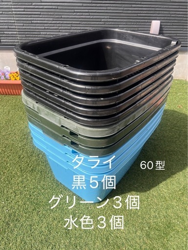 タライ60型　11個　めだか飼育に