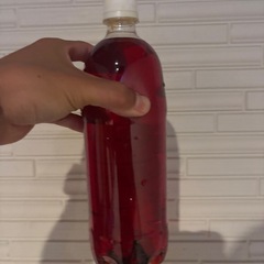 石灰硫黄合剤1ℓの画像