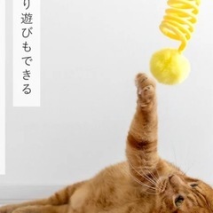 猫のおもちゃの画像